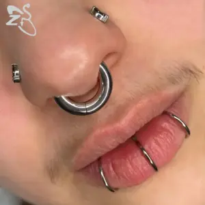 ZS 1PC G23 Titanium Hoop Earring for Women Silver Plated Circle Earring Large Gauge Seputm Nose Ring 2/4/6/8/10/12G Punk Earring
